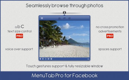 MenuTab Pro for Facebook screenshot