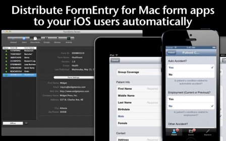 FormEntry Server screenshot