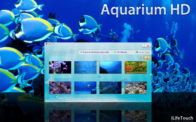 Aquarium HD 2.2 : Aquarium HD screenshot