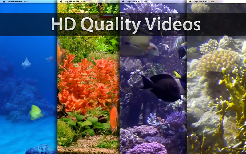 Aquarium HD 2.2 : Aquarium HD screenshot