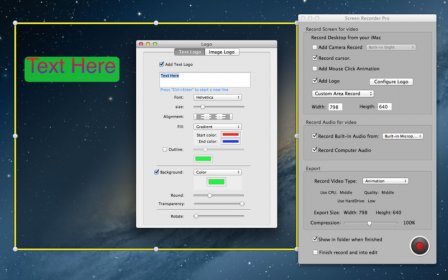 Screen Recorder Pro - Video and Audio Online screenshot