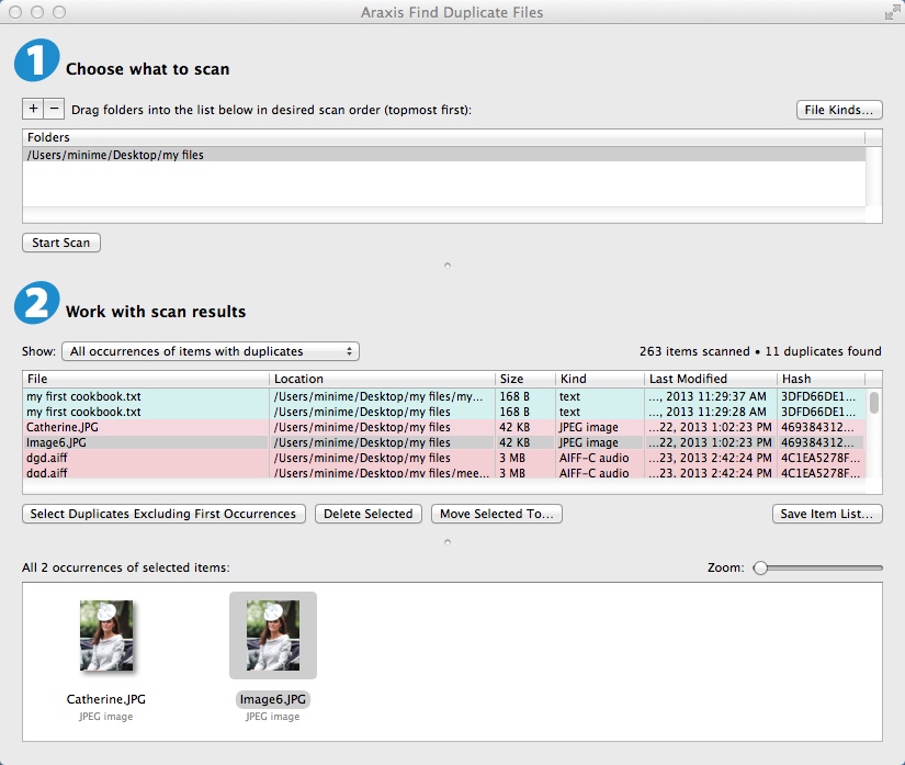 Araxis Find Duplicate Files 2013.4 : Main Window