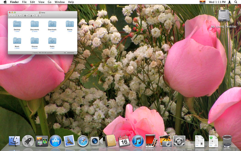 My Living Desktop 5.2 : My Living Desktop screenshot