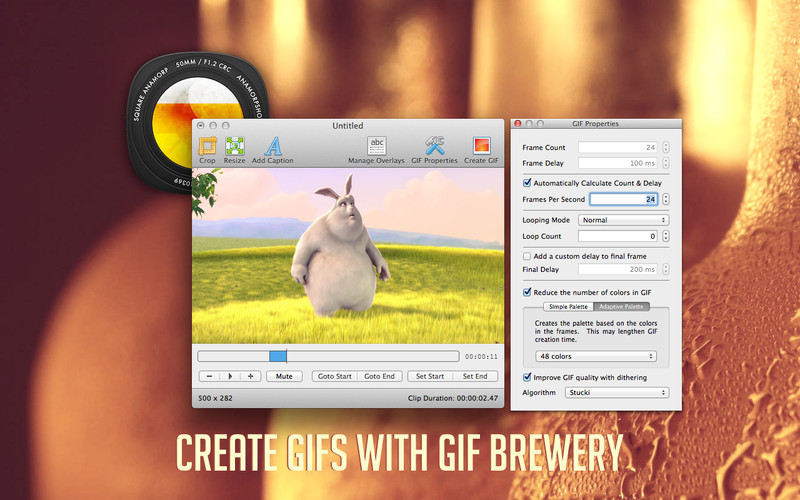 CineGIF 2.2 : GIF Brewery screenshot
