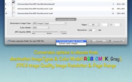 PDF to JPG Pro : The Batch PDF to Image Converter with Automation screenshot