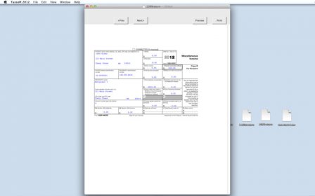 Taxsoft 2012 screenshot