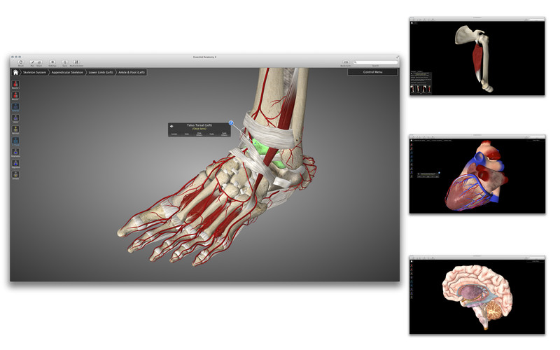 Essential Anatomy 2.0 : Essential Anatomy 2 screenshot
