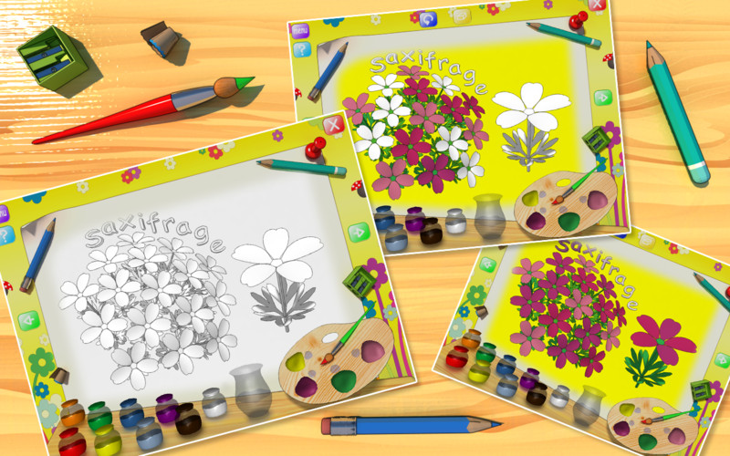 Flowers Coloring Book 1.2 : Flowers Coloring Book screenshot