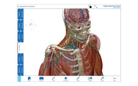 Human Anatomy Atlas screenshot