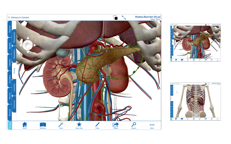 visible body human anatomy atlas v3.0.1