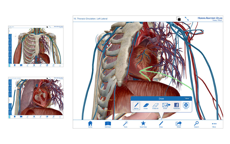 Visible Body 3D Human Anatomy Atlas 3.0 : Human Anatomy Atlas screenshot