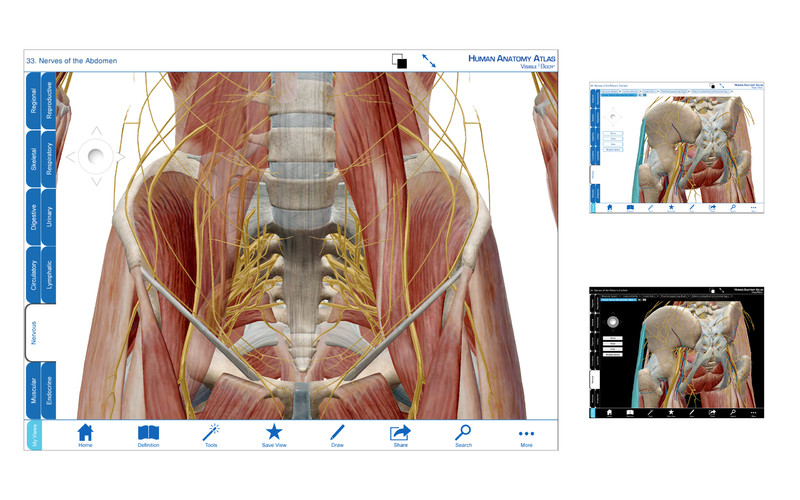 Visible Body 3D Human Anatomy Atlas 3.0 : Human Anatomy Atlas screenshot