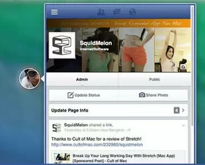 Head for Facebook 1.0 : Main window