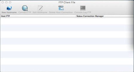 FTP Client File 1.0 : Main window