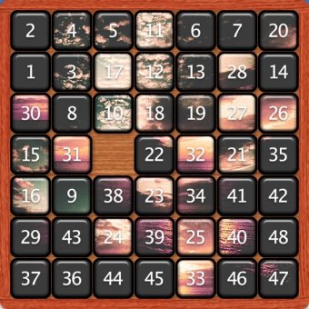 Playing 7x7 Puzzle Game