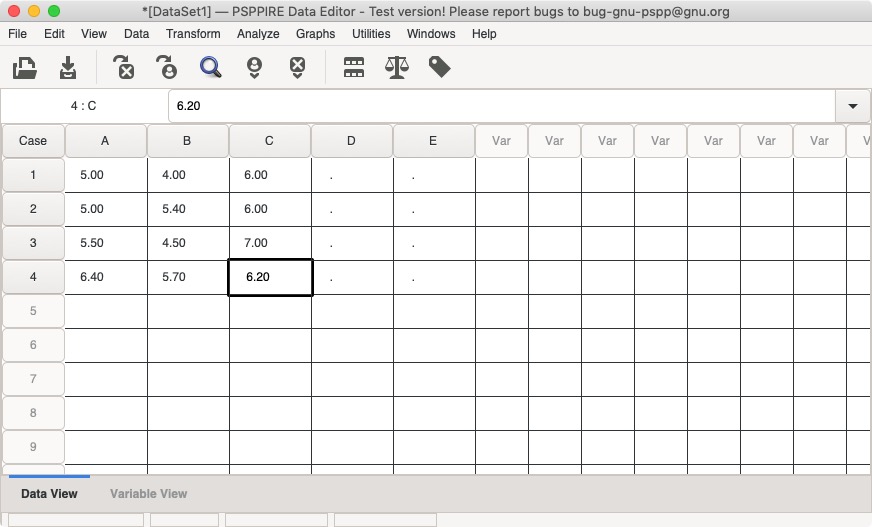 PSPP 1.3 : Main Screen - Data View