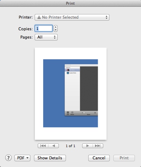 ScreenFloat 1.5 : Printing Screenshot