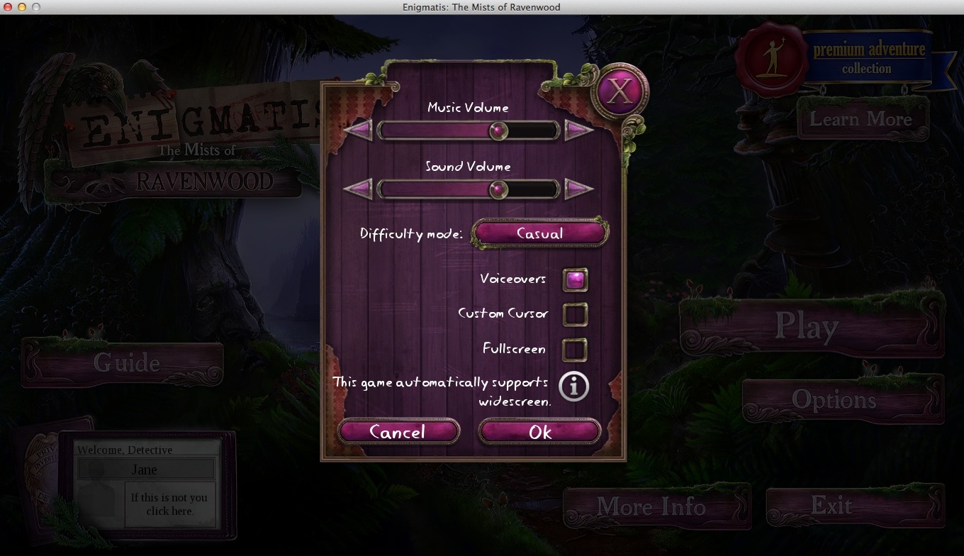 Enigmatis: The Mists of Ravenwood 2.0 : Game Options