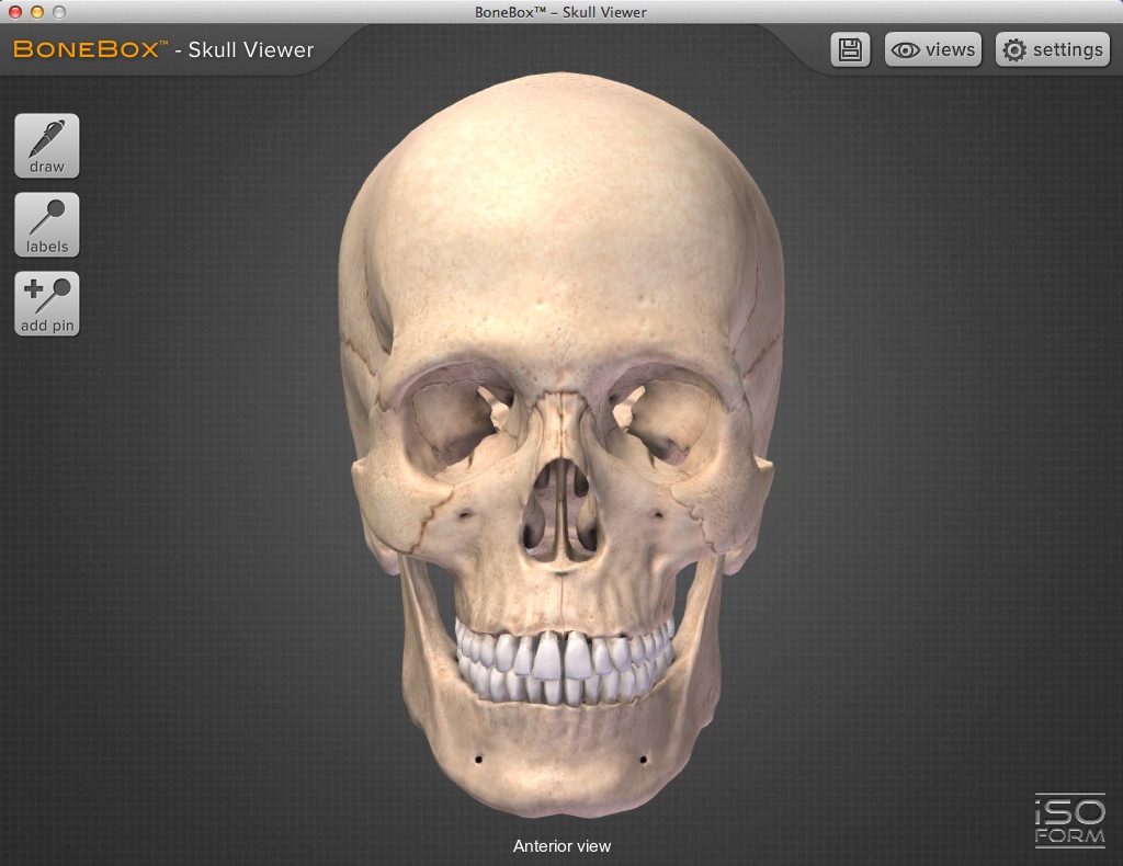 BoneBox Skull Viewer 2.0 : Main Window
