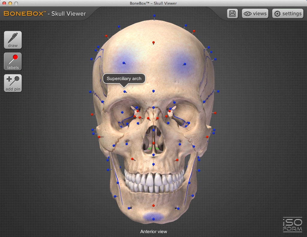 BoneBox Skull Viewer 2.0 : Studying Skull Model