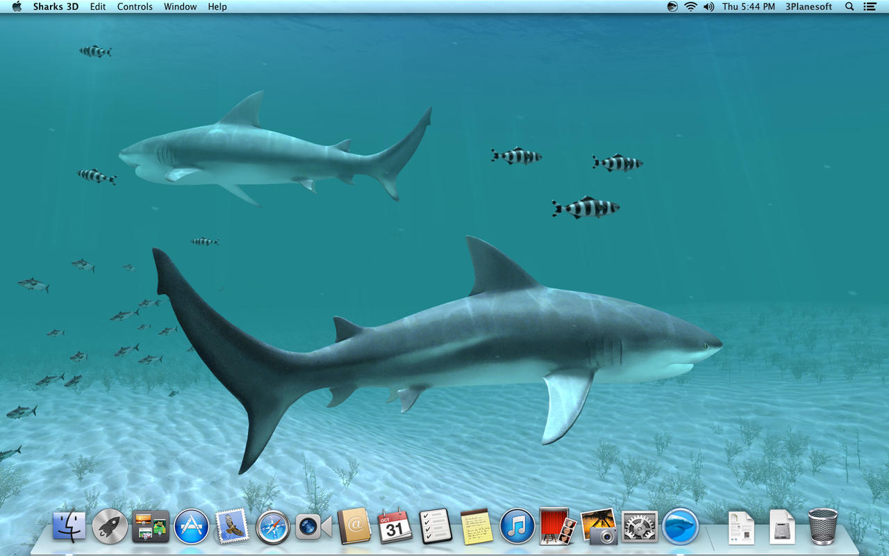 Sharks 3D 1.0 : Screensaver