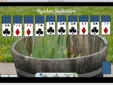 Playing Spider Solitaire