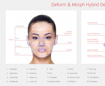 CT8_Deform-Morph-Hybrid