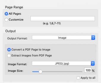 Convert To Image Options