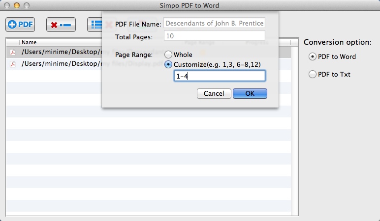 Simpo PDF to Word 1.6 : Configuring Advanced Output Settings