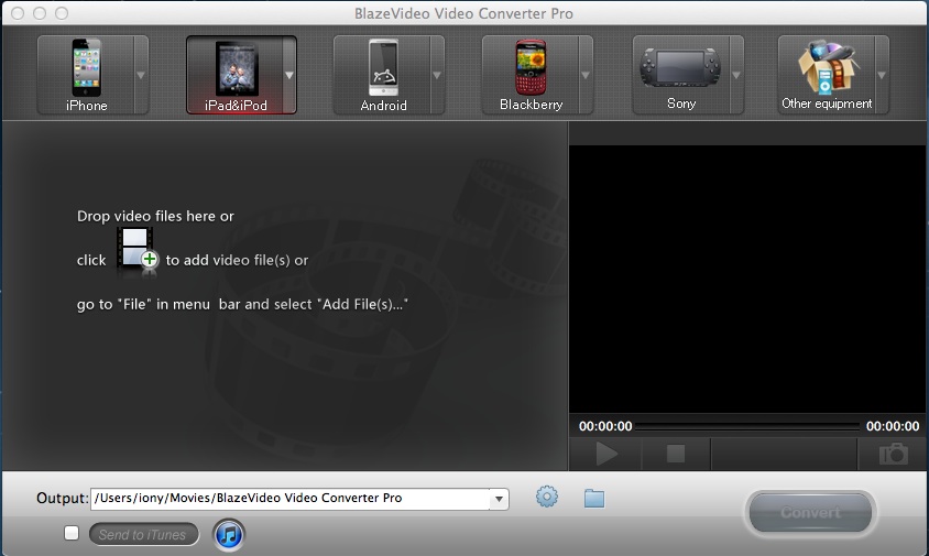 BlazeVideo Video Converter Pro 3.0 : Main window