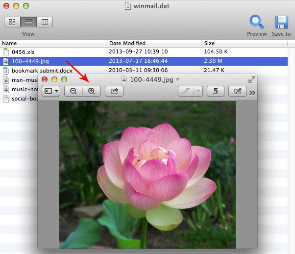 Winmail Viewer 2.0 : Main window