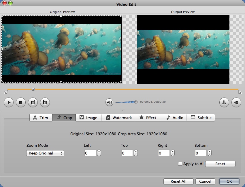 Bigasoft MKV Converter 3.7 : Editing Input Video