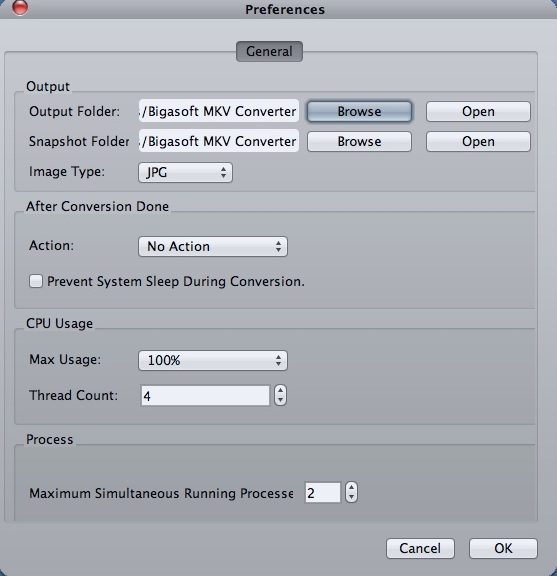 Bigasoft MKV Converter 3.7 : Preferences Window