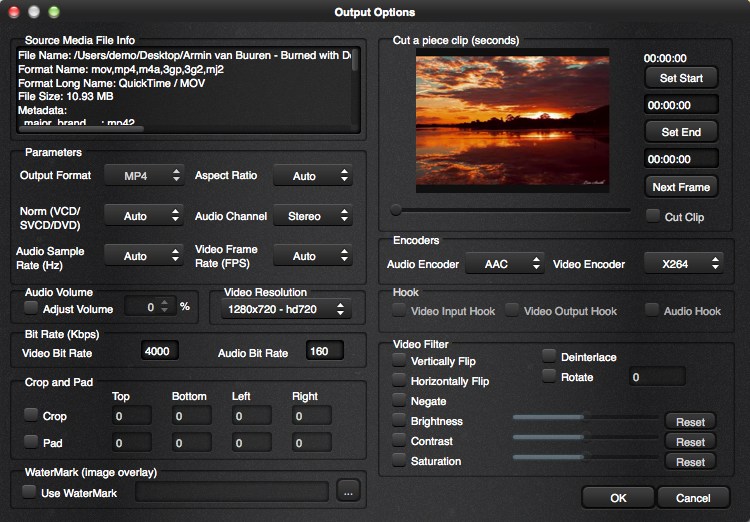 Any Video Converter Free 2.0 : Output Options