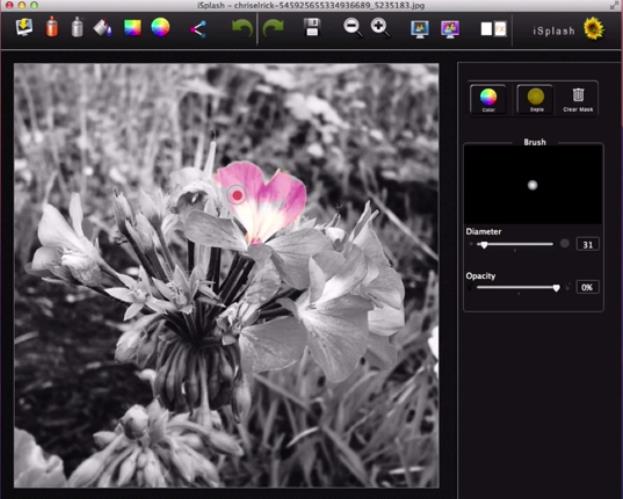 iSplash Color Photo Editor 3.4 : Work with brush