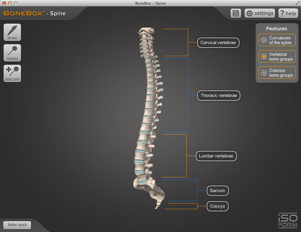 BoneBox - Spine 1.0 : Main Window
