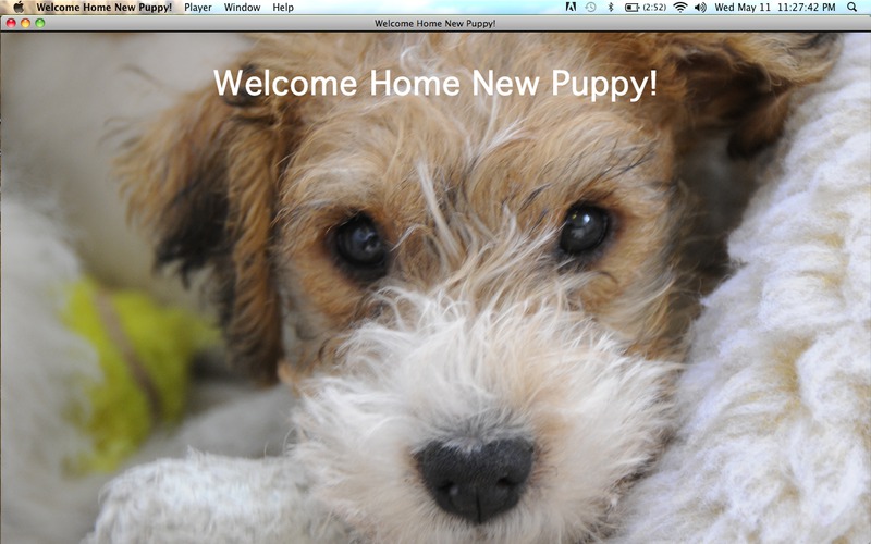Welcome Home New Puppy! 1.1 : Main Window