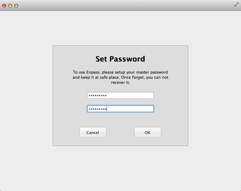 Enpass 4.0 : Set Master Password