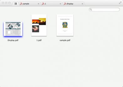 PDF Collection Window