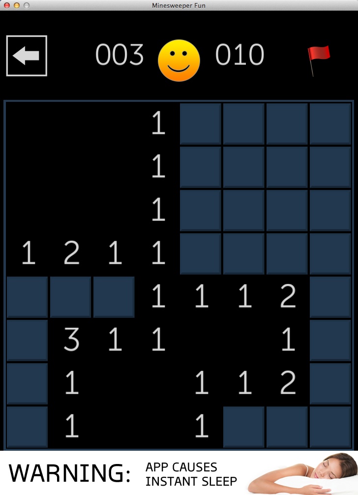 Minesweeper Fun 1.1 : Gameplay Window