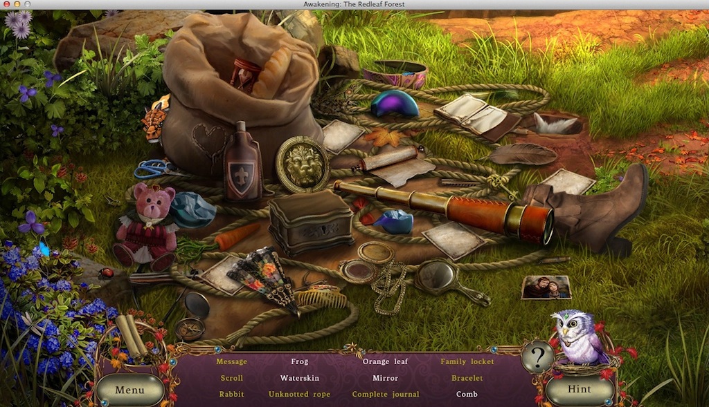Awakening: The Redleaf Forest 2.0 : Completing Hidden Object Mini-Game
