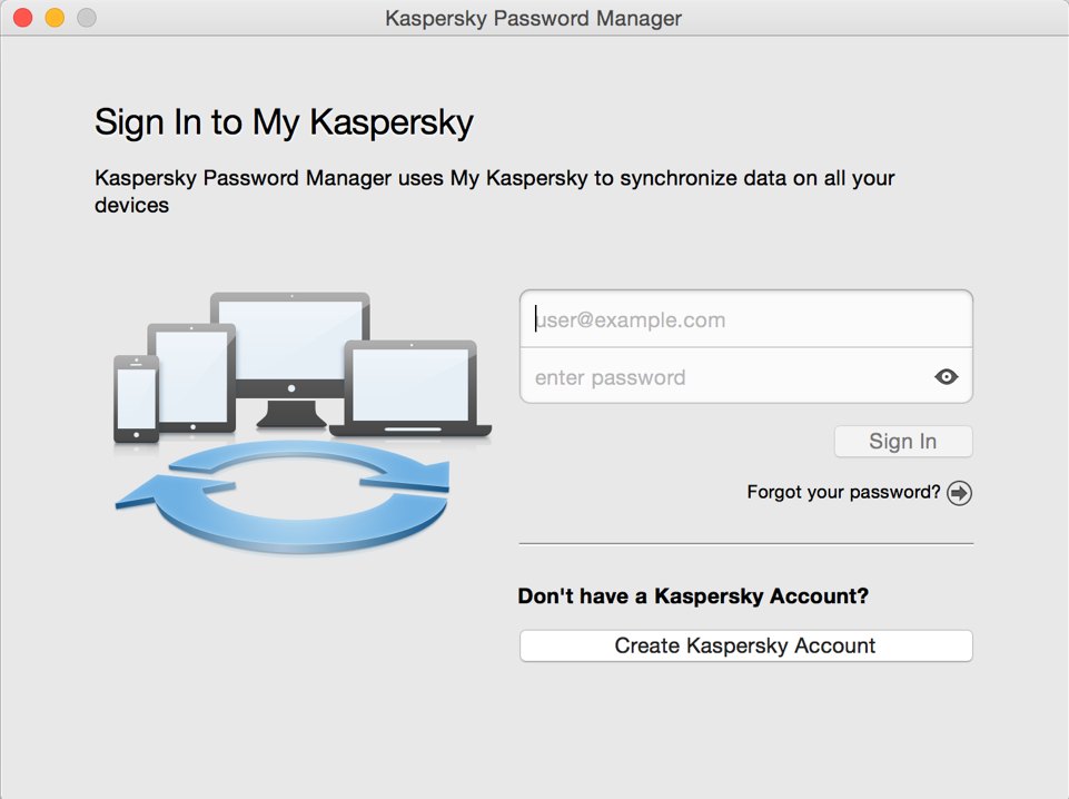 Kaspersky Password Manager 1.0 : Main window