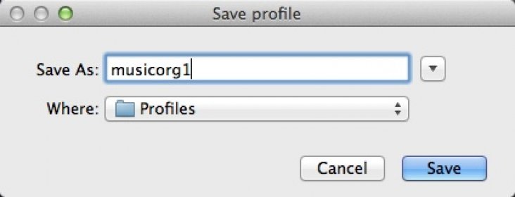 Saving Organizing Profile