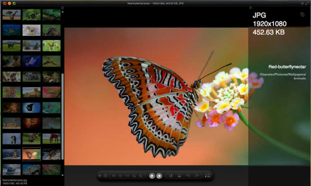 Image Viewer Deluxe 1.1 : Main Window