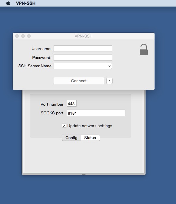 VPNSecure Smarter DNS 1.0 : Main window