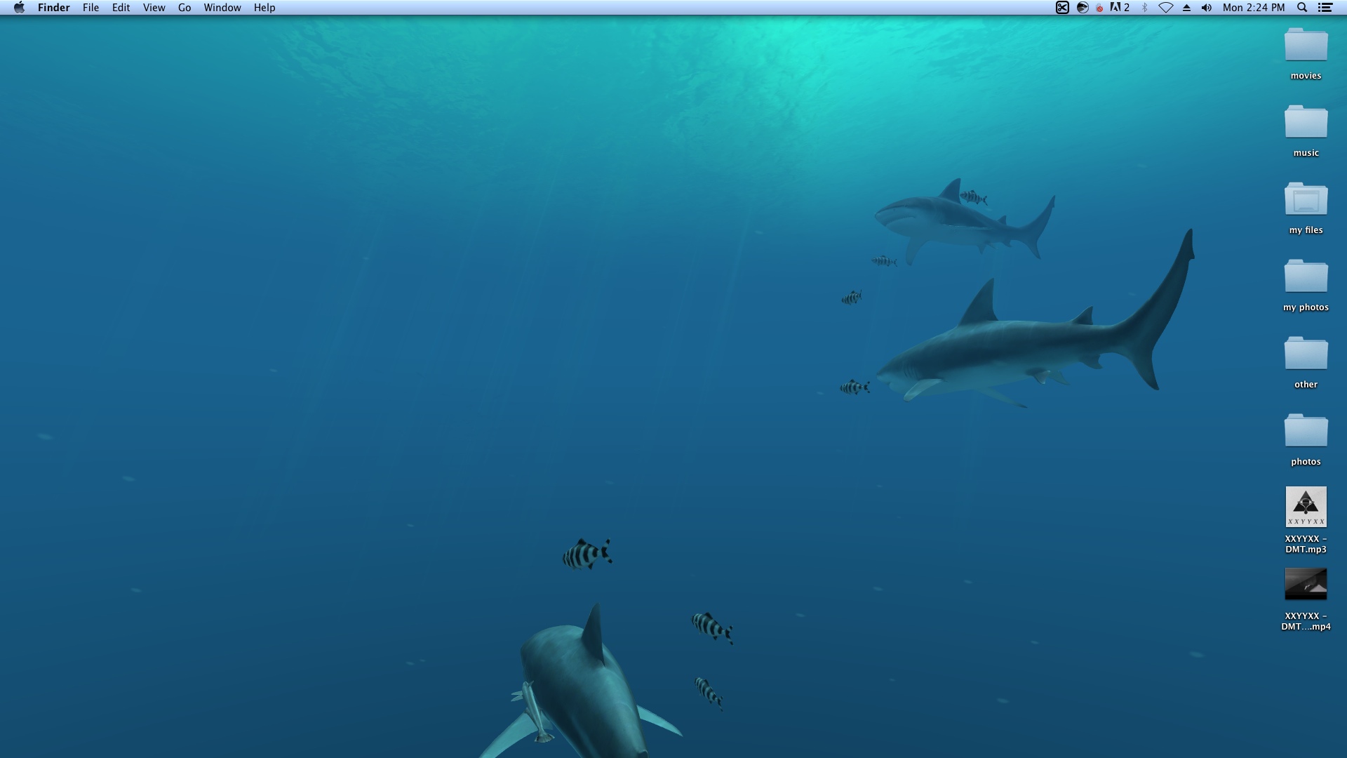 Sharks 3D 1.1 : Wallpaper Window