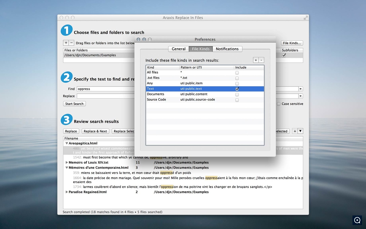 Araxis Replace In Files 2012.2 : Araxis Replace In Files for OS X preferences screenshot