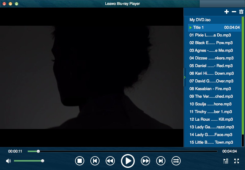 Leawo Blu-ray Player 1.8 : Playlist Window