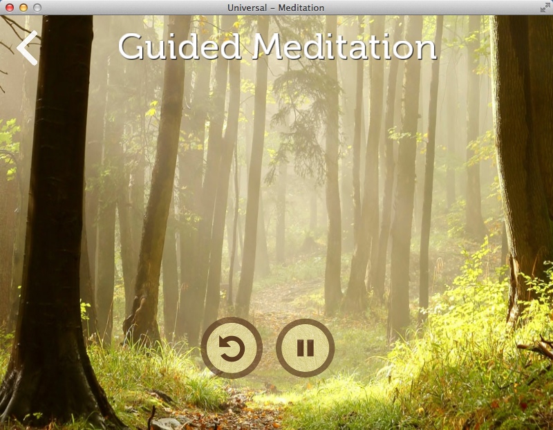 Universal: Meditation 1.9 : Guided Meditation Window