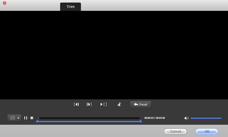 Video Converter Genius 2.1 : Editing Input Audio File